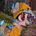 Sof_Raccoon