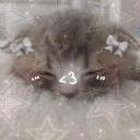 Kittyyuwuu