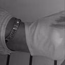 shipkrs