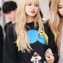 animerere