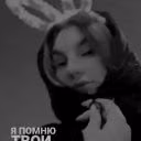 sswwqsqx