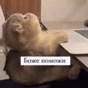 uhghjjmvmiv980y