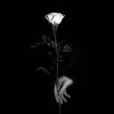 Lady_Dj_