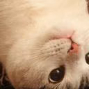 Pamken_27