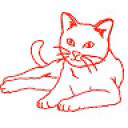 KataPerova