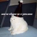 blyednayagordost
