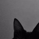 linxrisc