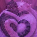 Lovekissyuop