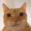Juce__my