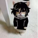 cchimgo