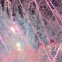 pinklily_075