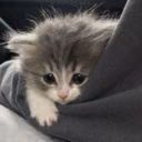 Tusik_Weow