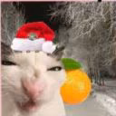 Siman_Got
