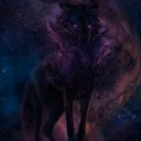blackwolf509