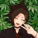 wertty_koksei