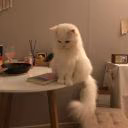 Arisha_Moor