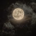 michelle_moon_09