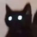 Bu_fet