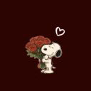 Hael_official