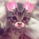 viiinast0