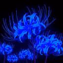 _Liebez39p_