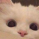 Yukikkko_