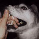 Baki_and_Margo