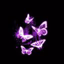 N_Avtor