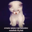 anastasiallxx