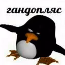 Rmkvvk