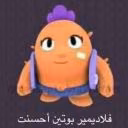 Shelly_Bravl_stars