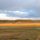 LamaLamavicka