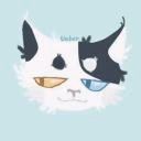 kocya_cat