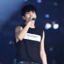 wolf88arr