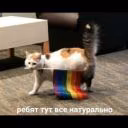 kapitanJoshler
