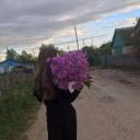 mollikissi