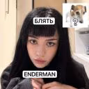 memny_kot