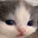user08923040
