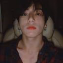 avocado_km