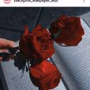 user64499706