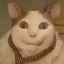 gohiyl