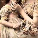 Michaelmas_Daisy