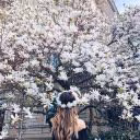 LivLSKS08