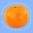 TamerlaneAlessky