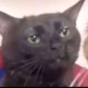 jjewt_blackcat