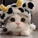Funny_way1