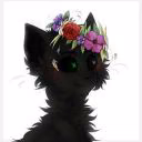 Faceless_Shadow