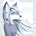 Niko_Fox956