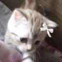 cherieieeee
