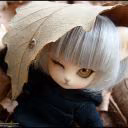 YoyAlex14